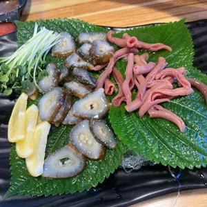 싱싱오징어바다 사진