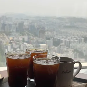 폴 바셋 사진 1