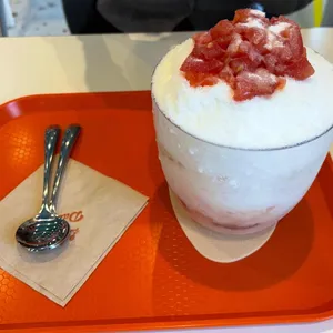 대설 사진