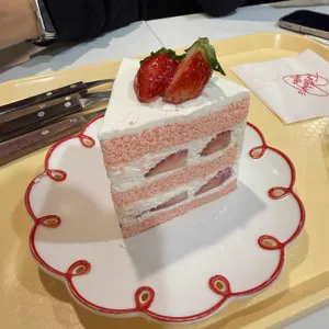 터틀힙 대표 사진
