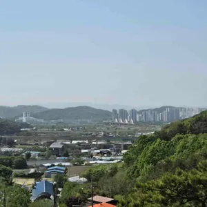 카페 165 사진
