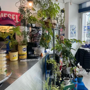 EFG COFFEE 대표 사진
