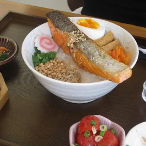 키친갈매기 사진