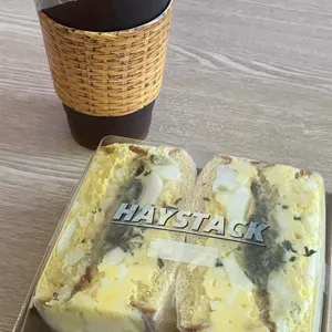 헤이스탁 사진