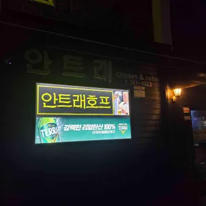 안트래 사진 2