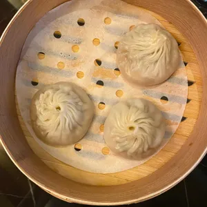 팔레드 신 사진