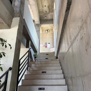 보사노바 리뷰 사진