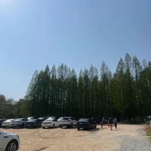 메타포레스트 리뷰 사진