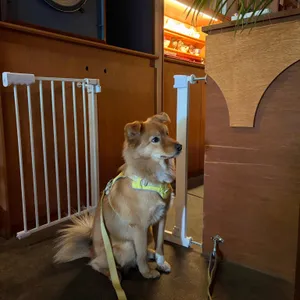 오오비 대표 사진