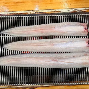 작은항구 사진 1