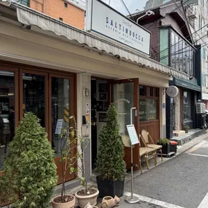 살팀보카 사진 1