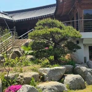 더포레스트 퀸 대표 사진