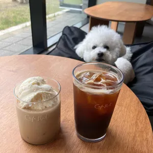 플랫 사진