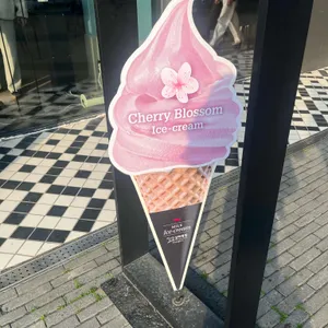폴바셋 대표 사진
