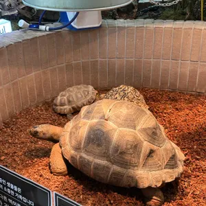 슬로우어스 대표 사진