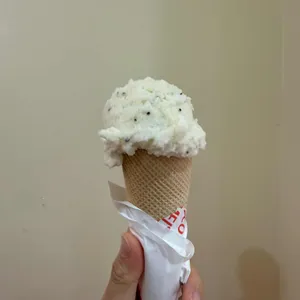 멜티코 사진 1