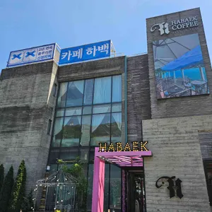 하백 사진