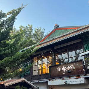 까멜리아 인 구룡포 사진 1