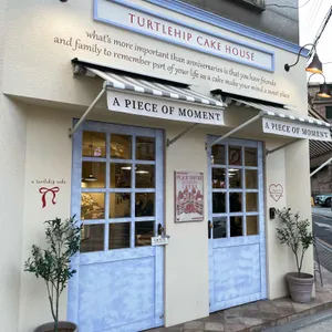터틀힙 사진 1
