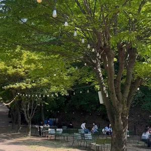 팔숲 사진 1