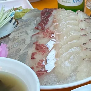 대진항막회 사진