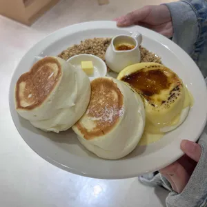 소과당 대표 사진