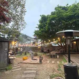 단풍나무 대표 사진