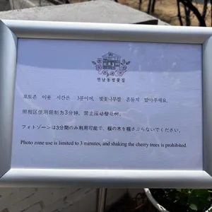 연남동 벚꽃집 리뷰 사진