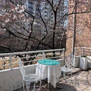 연남동 벚꽃집 리뷰 사진