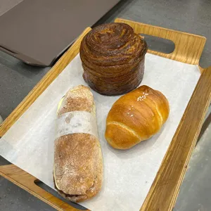 달리온 사진 1