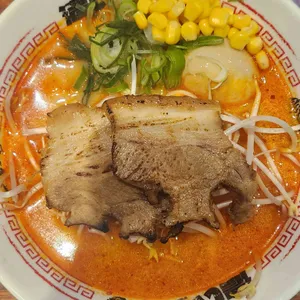 코이라멘 사진