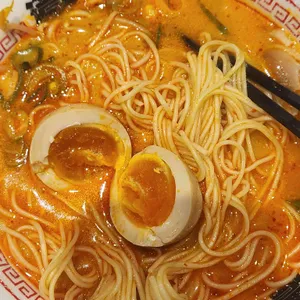 코이라멘 대표 사진