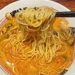 코이라멘 대표 사진