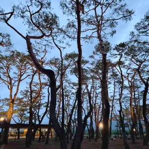 소울 로스터리 리뷰 사진
