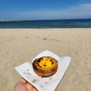 호리가 사진