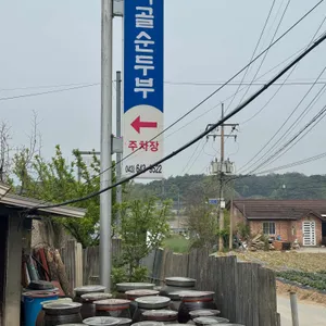 시골순두부 대표 사진