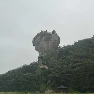 천상한우정육식당 리뷰 사진