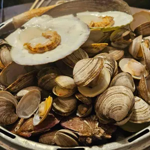 조개본능 사진 1
