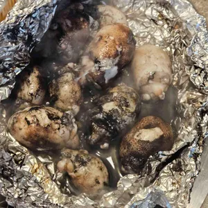 조개포차 대표 사진