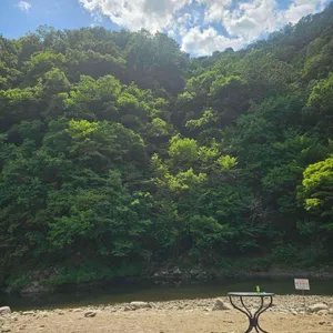 내추럴가든529 사진 1