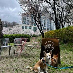 키에소커피랩 대표 사진