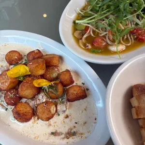 오브셀라 대표 사진