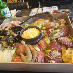 오아시스조개 사진
