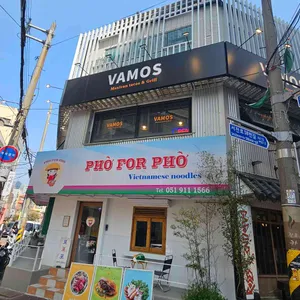 바모스 대표 사진