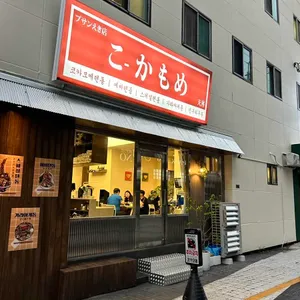 코카모메 사진 2