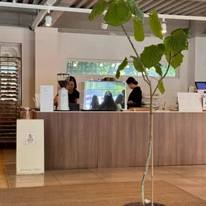 채식주의자의 무화과 대표 사진