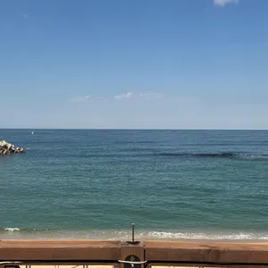 카페 우디 대표 사진