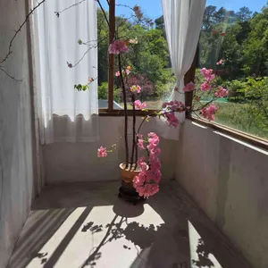 앙떼떼페레 대표 사진