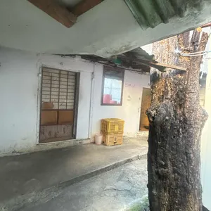 금학칼국수 대표 사진