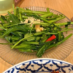 메오 사진 2